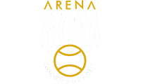 Arena Skina